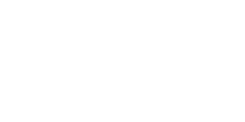 Logo Polfer